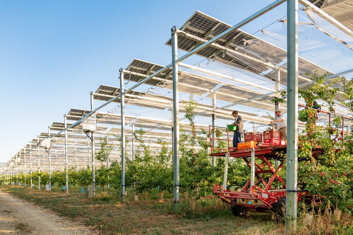 Sun Agri L esperienza Dell agrivoltaico Avanzato In Italia sun-agri-l-esperienza-dell-agrivoltaico-avanzato-in-italia