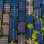 qualenergia-it-fotovoltaico-crescita-intervista-raffaele-rossi