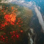 qualenergia-it-riscaldamento-globale-2,7-cop28