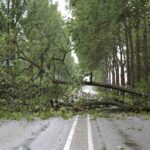 qualenergia-it-investimenti-green-rischio-nuovo-patto-stabilita