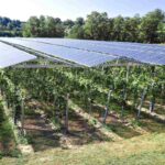 qualenergia-it-mappa-agrisolare-europa
