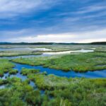 qualenergia-it-passa-consiglio-ue-legge-ripristino-natura