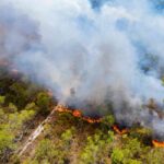 qualenergia-it-eolico-incendi-ostacolo-soccorsi