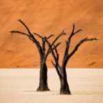 qualenergia-it-perche-meta-mondo-non-contenta-accordo-cop-29